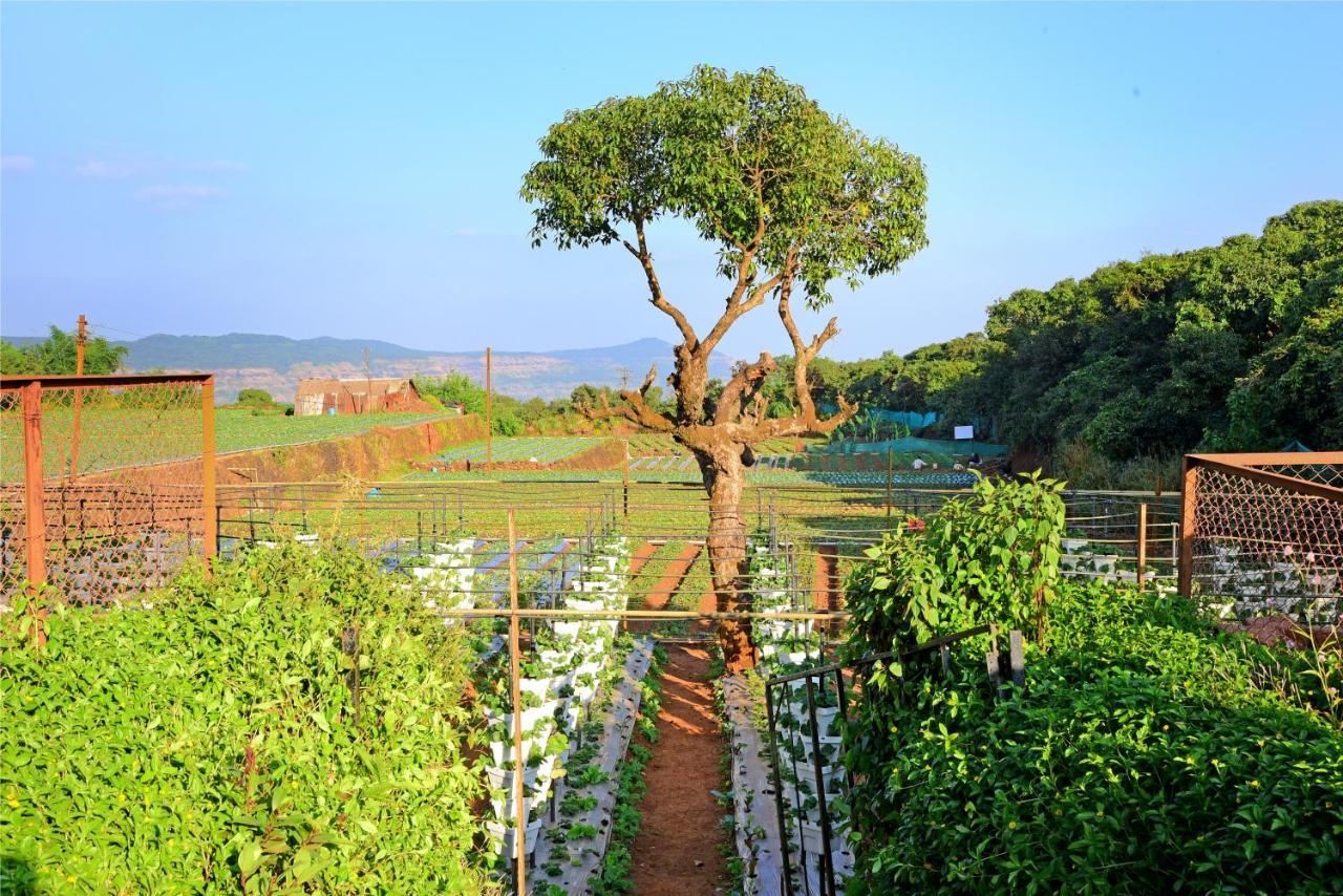 Hrishikesh Villa, Besides Valley Mahābaleshwar Kültér fotó
